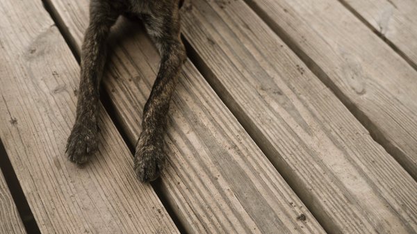 Quels sont les avantages d'un plancher chauffant dans une salle de bains ?