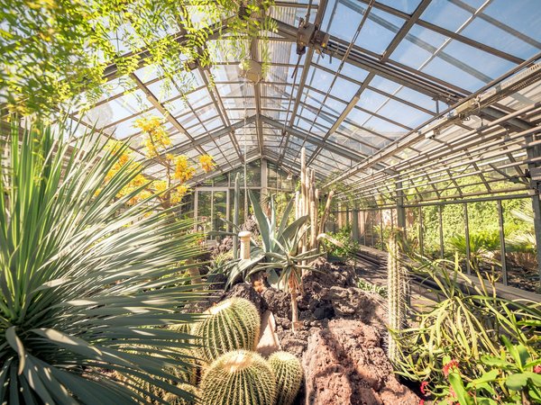 Comment utiliser l'aquaponie pour un jardin urbain durable ?